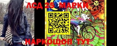 СК Моздок