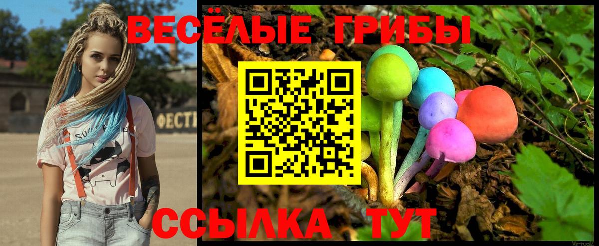 Усолье-Сибирское  Псилоцибиновые грибы Psilocybine cubensis  Вход с VPN 
