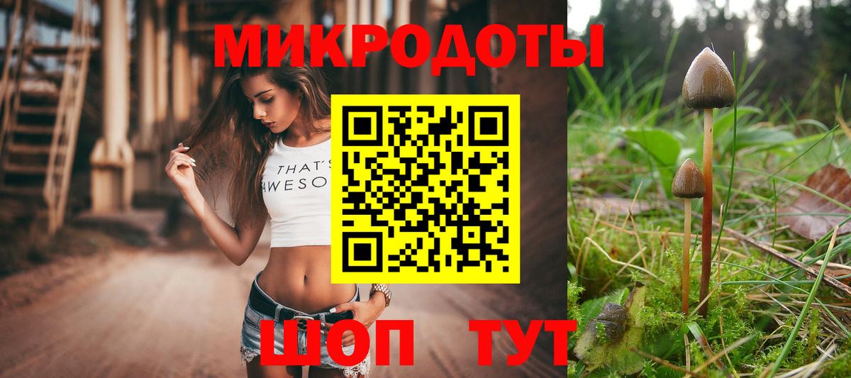 Галлюциногенные грибы ЛСД Усолье-Сибирское